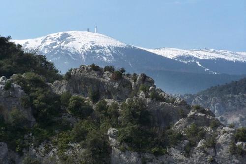 Chambre: une fenêtre sur le Ventoux Plaisians Extérieur photo